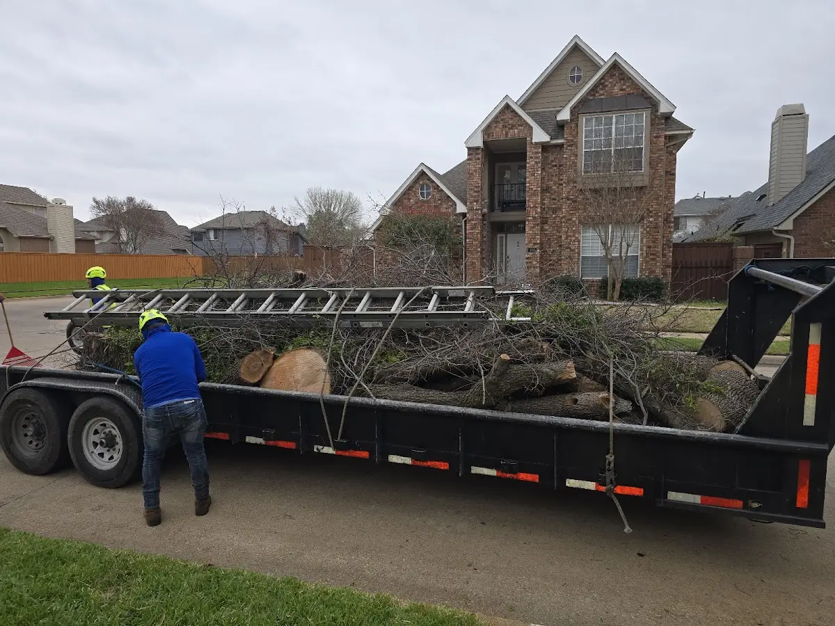 Expert Tree Fertilization with proper safety equipment in Bowdoin